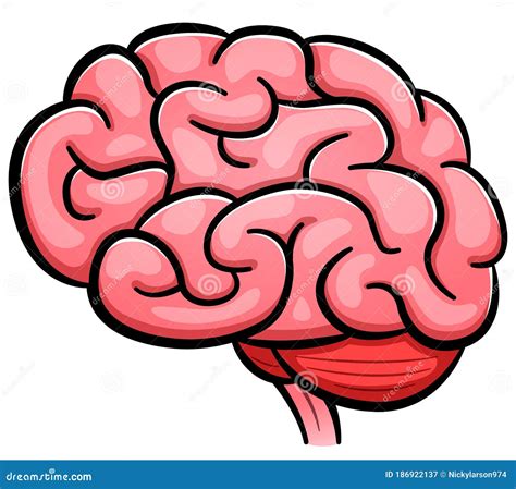 brain cartoon photo|human brain cartoon images.